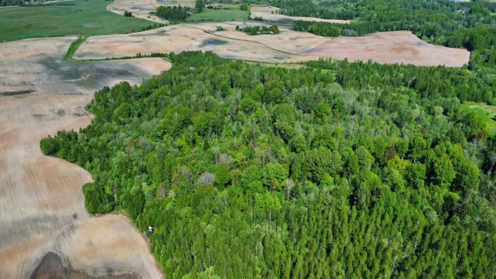 Parduodamas  sklypas Šluiniškių k., Vilniaus r. sav., 1103.5 a ploto 8