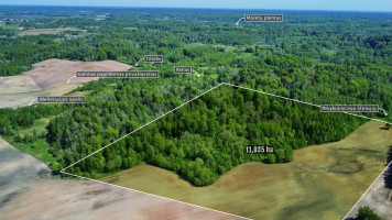 Parduodamas  sklypas Šluiniškių k., Vilniaus r. sav., 1103.5 a ploto 5