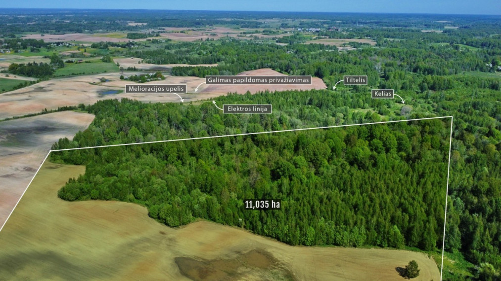 Parduodamas sklypas Šluiniškių k., Vilniaus r. sav., 1103.5 a ploto 6