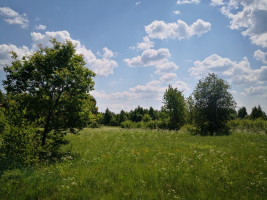 Parduodamas kitos paskirties sklypas Katūniškių k., Širvintų r. sav., 130.78 a ploto 1