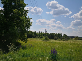 Parduodamas kitos paskirties sklypas Katūniškių k., Širvintų r. sav., 130.78 a ploto 2