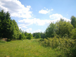 Parduodamas kitos paskirties sklypas Katūniškių k., Širvintų r. sav., 130.78 a ploto 10
