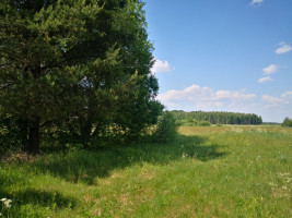 Parduodamas kitos paskirties sklypas Katūniškių k., Širvintų r. sav., 130.78 a ploto 11