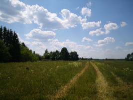 Parduodamas kitos paskirties sklypas Katūniškių k., Širvintų r. sav., 130.78 a ploto 12