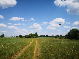 Parduodamas kitos paskirties sklypas Katūniškių k., Širvintų r. sav., 130.78 a ploto 13