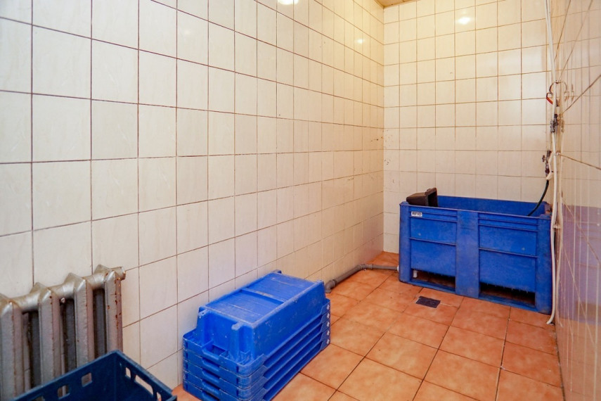 Nuomojamos  patalpos Klevų g., Vaivadų k., Panevėžio r. sav., 890.47 m2 ploto 14