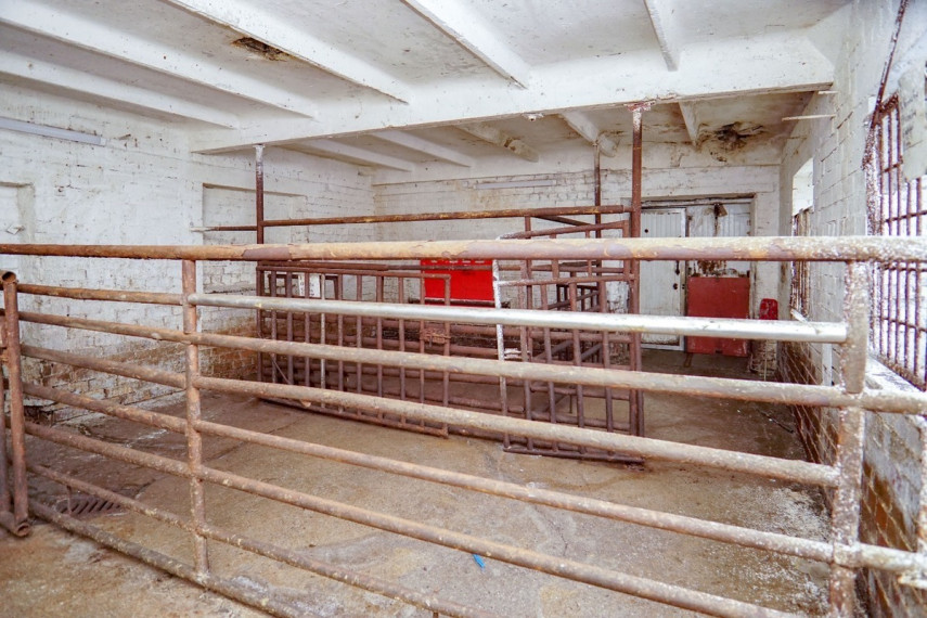 Nuomojamos  patalpos Klevų g., Vaivadų k., Panevėžio r. sav., 890.47 m2 ploto 26