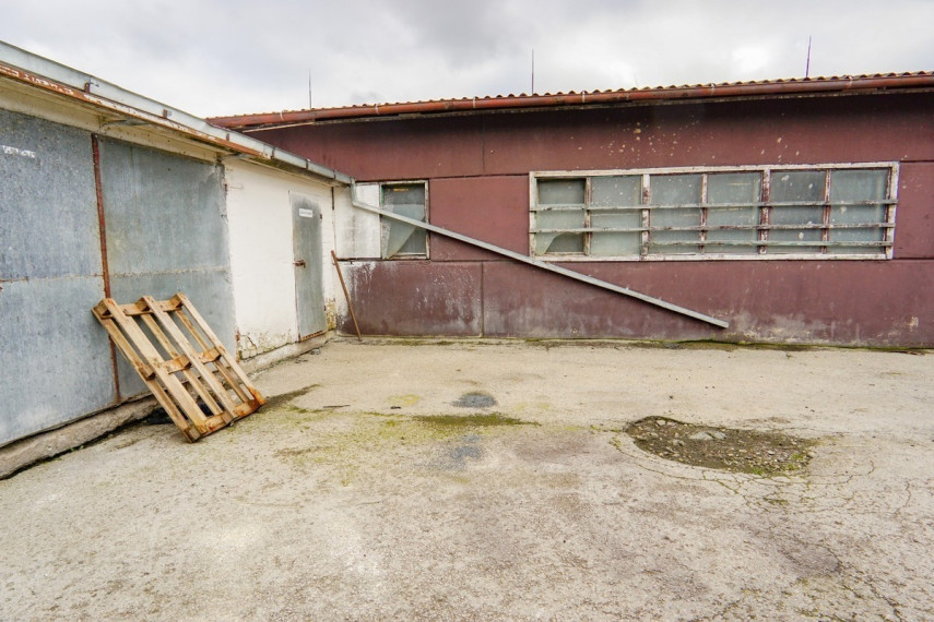 Nuomojamos  patalpos Klevų g., Vaivadų k., Panevėžio r. sav., 890.47 m2 ploto 30