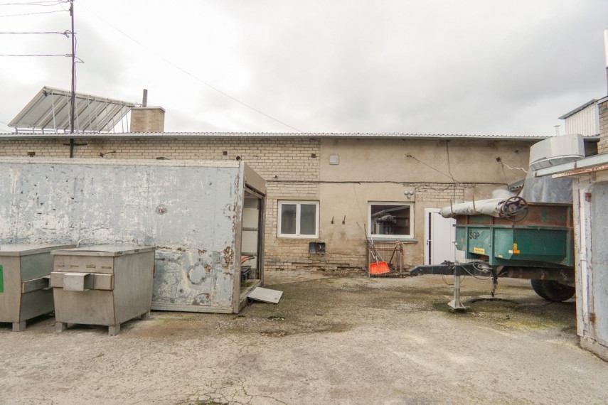 Nuomojamos  patalpos Klevų g., Vaivadų k., Panevėžio r. sav., 890.47 m2 ploto 32
