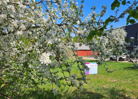 Parduodamas kitos paskirties sklypas Miškonių g., Miškonių k., Vilniaus r. sav., 10.73 a ploto
