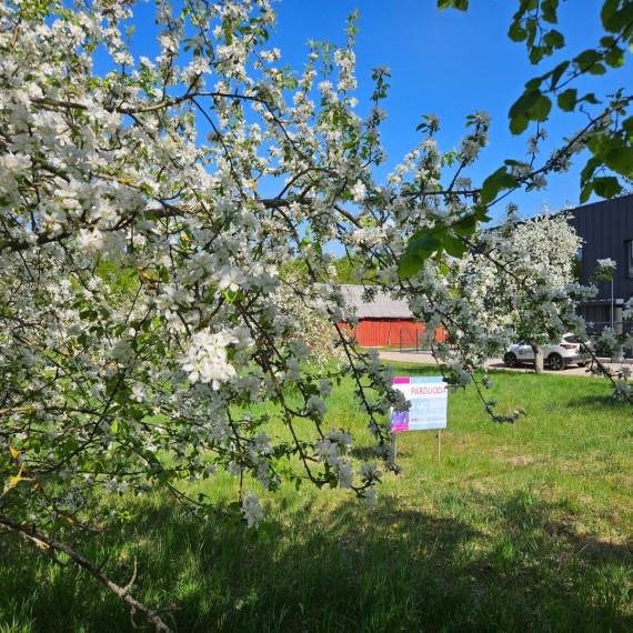 Parduodamas kitos paskirties sklypas Miškonių g., Miškonių k., Vilniaus r. sav., 10.73 a ploto 1