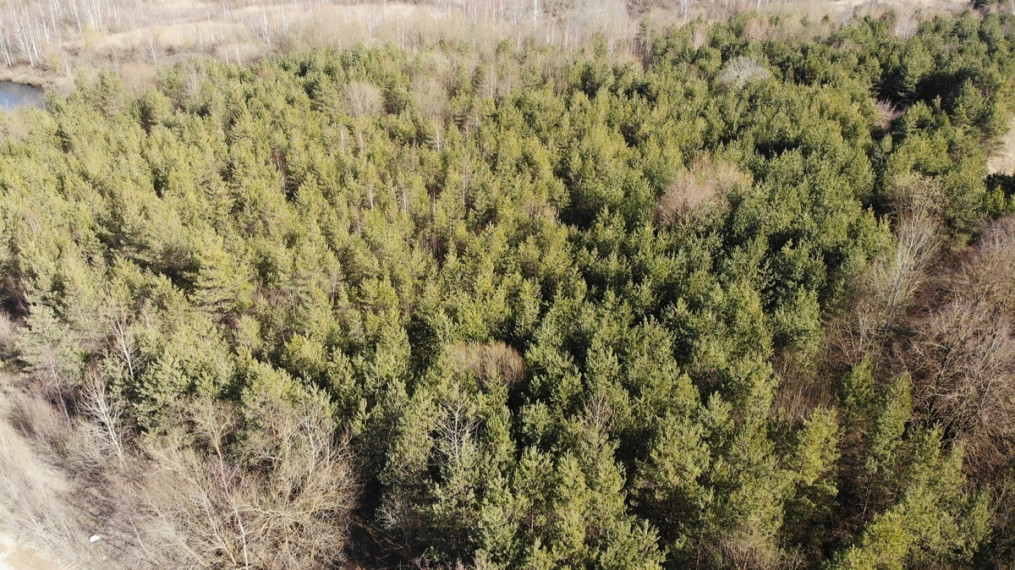 Parduodamas sklypas Bubių k., Kauno r. sav., 400 a ploto 1