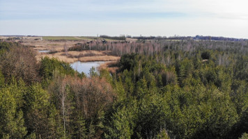 Parduodamas  sklypas Bubių k., Kauno r. sav., 400 a ploto 2