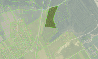 Parduodamas  sklypas Bubių k., Kauno r. sav., 400 a ploto 7