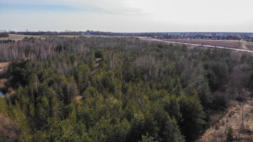Parduodamas  sklypas Bubių k., Kauno r. sav., 400 a ploto 9