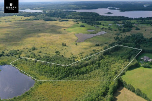 Parduodamas sklypas Zamokėlių k. Molėtų r. netoli Bebrusų, šalia mažo ežerėlio, 2.70 ha ploto 3