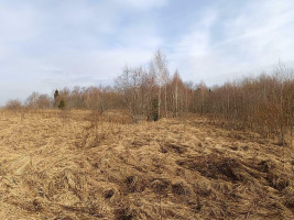 Parduodamas sklypas Kaniūkiškių k., 628 a ploto 2