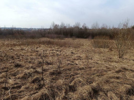 Parduodamas sklypas Kaniūkiškių k., 628 a ploto 4