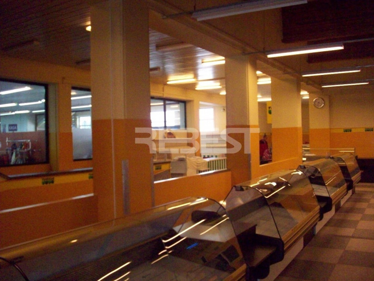 Parduodamos paslaugų, prekybos patalpos Vilniaus g., Centras, Šiaulių m., Šiaulių m. sav., 3700 m2 ploto 8
