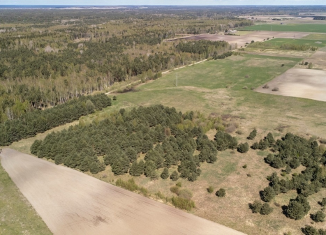 Parduodamas sklypas Želvių k., Kretingos r. sav., 516.00 a ploto