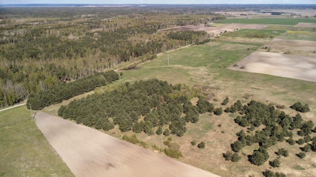 Parduodamas sklypas Želvių k., Kretingos r. sav., 516.00 a ploto 1