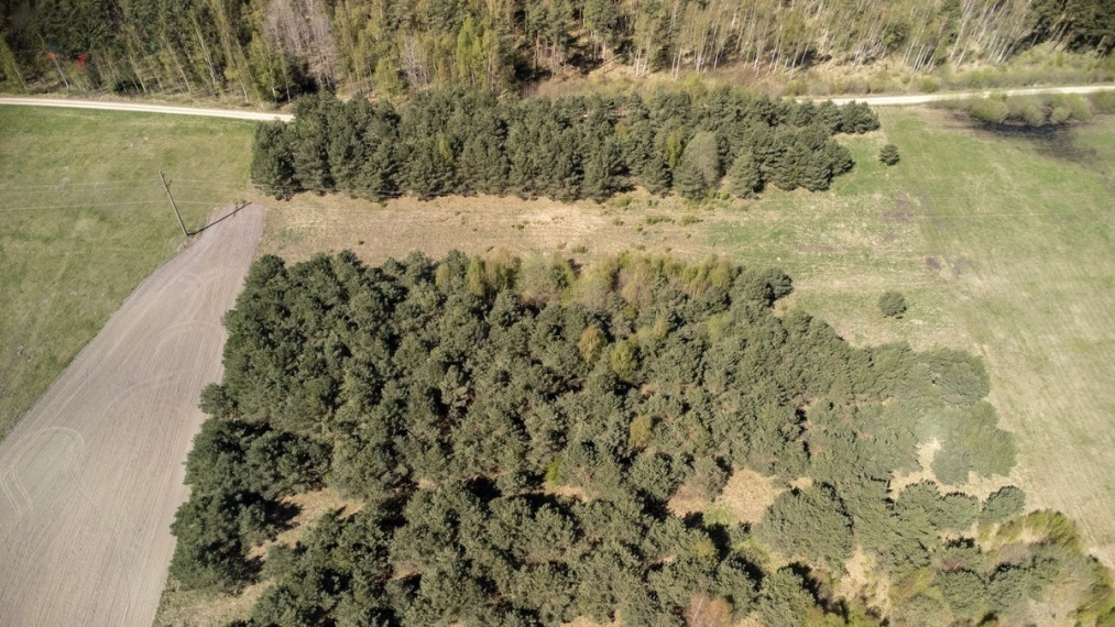 Parduodamas sklypas Želvių k., Kretingos r. sav., 516.00 a ploto 2