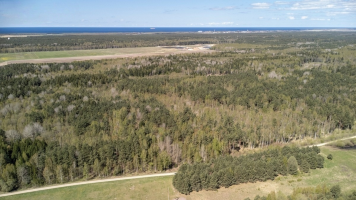 Parduodamas sklypas Želvių k., Kretingos r. sav., 516.00 a ploto 5