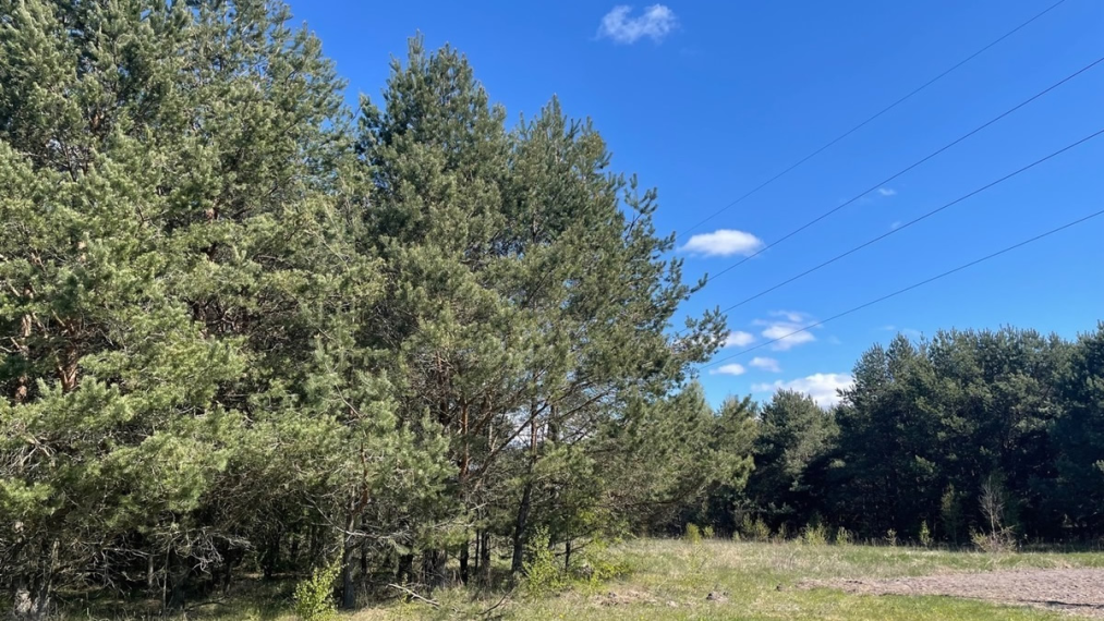 Parduodamas sklypas Želvių k., Kretingos r. sav., 516.00 a ploto 6