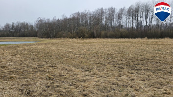 Parduodamas sklypas Šermuto g., Šilagalio k., 49.66 a ploto 3