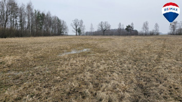 Parduodamas sklypas Šermuto g., Šilagalio k., 49.66 a ploto 6