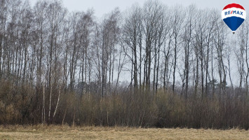Parduodamas sklypas Šermuto g., Šilagalio k., 49.66 a ploto 8
