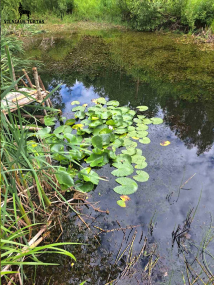 Parduodamas kitos paskirties sklypas Vilties g., Kaniūkų k., Molėtų r. sav., 912 a ploto 6