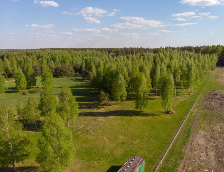 Parduodamas namas Papiernios k., Širvintų r. sav., 108.57 m² ploto 4 kambariai 19