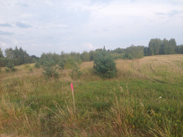 Parduodamas sklypas Rūdiškių m., Trakų r. sav., 25.00 a ploto 1