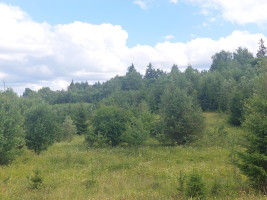 Parduodamas sklypas Tvertinių k., Elektrėnų sav., 162.00 a ploto 5