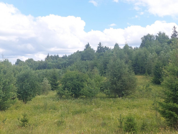 Parduodamas sklypas Tvertinių k., Elektrėnų sav., 162.00 a ploto 5