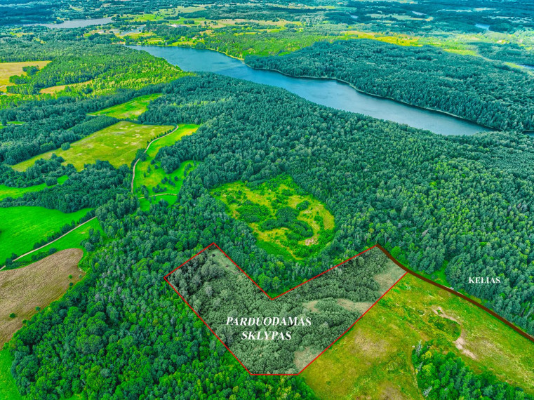 Parduodamas sklypas Ankštos k., Vilniaus r. sav., 352.26 a ploto 7