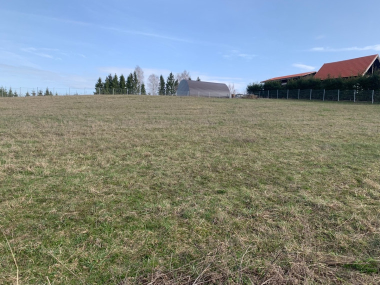Parduodamas sklypas Žalioji g.6, Domantonių k., Alytaus r. sav., 21 a ploto 3