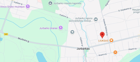 Parduodamas namas K. Donelaičio g., Jurbarko m., Jurbarko r. sav., 94.6 m2 ploto, 2 aukštai 13