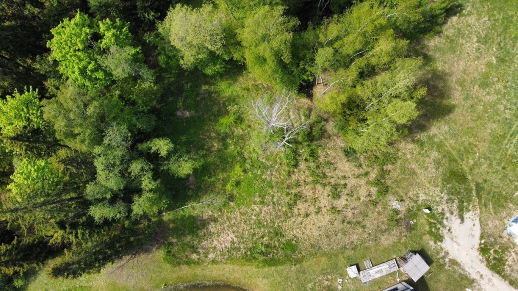 Parduodamas sklypas Miškininkų g., Grybeliuose, Utenoje, 16.3 a ploto 5
