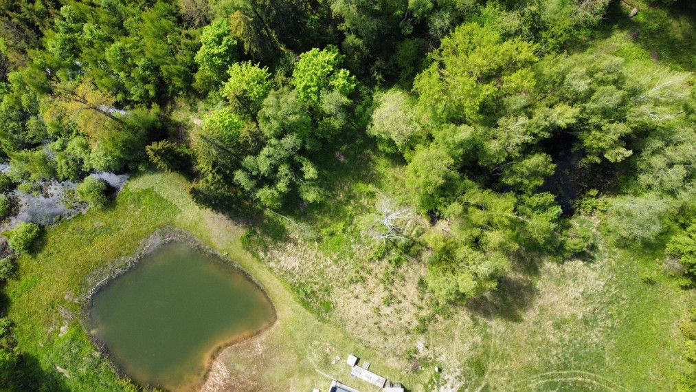 Parduodamas sklypas Miškininkų g., Grybeliuose, Utenoje, 16.3 a ploto 6