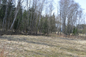 Parduodamas sklypas Miškininkų g., Grybeliuose, Utenoje, 16.3 a ploto 14