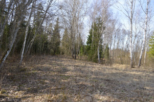 Parduodamas sklypas Miškininkų g., Grybeliuose, Utenoje, 16.3 a ploto 19
