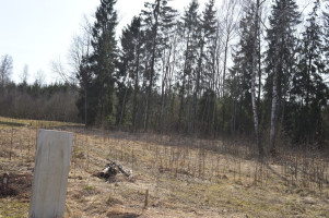 Parduodamas sklypas Miškininkų g., Grybeliuose, Utenoje, 16.3 a ploto 21