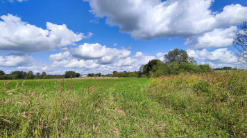 Parduodamas sklypas Užtvankos g., Bartkuškio k., Širvintų r. sav., 25.41 a ploto 14