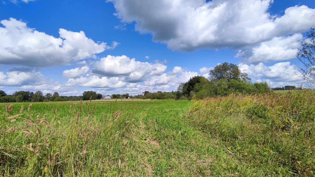 Parduodamas sklypas Užtvankos g., Bartkuškio k., Širvintų r. sav., 12.63 a ploto 14