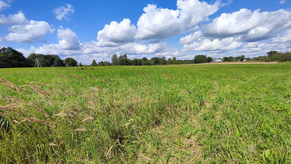 Parduodamas sklypas Užtvankos g., Bartkuškio k., Širvintų r. sav., 12.63 a ploto 15