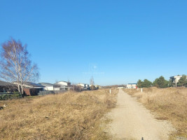 Parduodamas  sklypas Radailių k., Klaipėdos r. sav., 8 a ploto 2