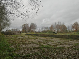 Parduodamas  sklypas Durpyno g., Jonušų k., Klaipėdos r. sav., 61.56 a ploto 7