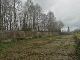 Parduodamas  sklypas Durpyno g., Jonušų k., Klaipėdos r. sav., 61.56 a ploto 9